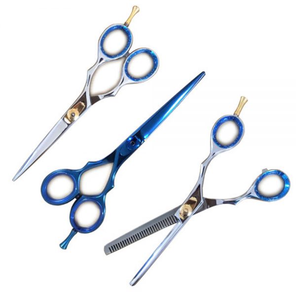 Barber Scissor Set