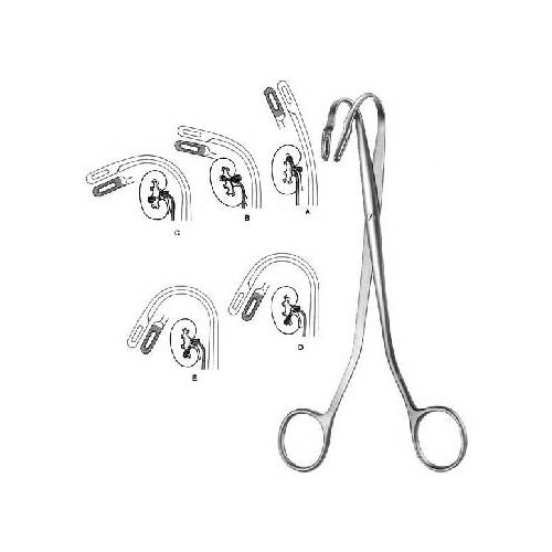 Urology, Surgical Instruments